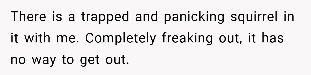 There is a trapped and panicking squirrel in it with me. Completely freaking out, it has no way to get out.