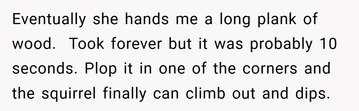 Eventually she hands me a long plank of wood. Took forever but it was probably 10 seconds. Plop it in one of the corners and the squirrel finally can climb...