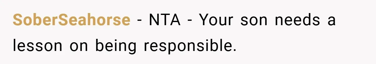 SoberSeahorse − NTA - Your son needs a lesson on being responsible.