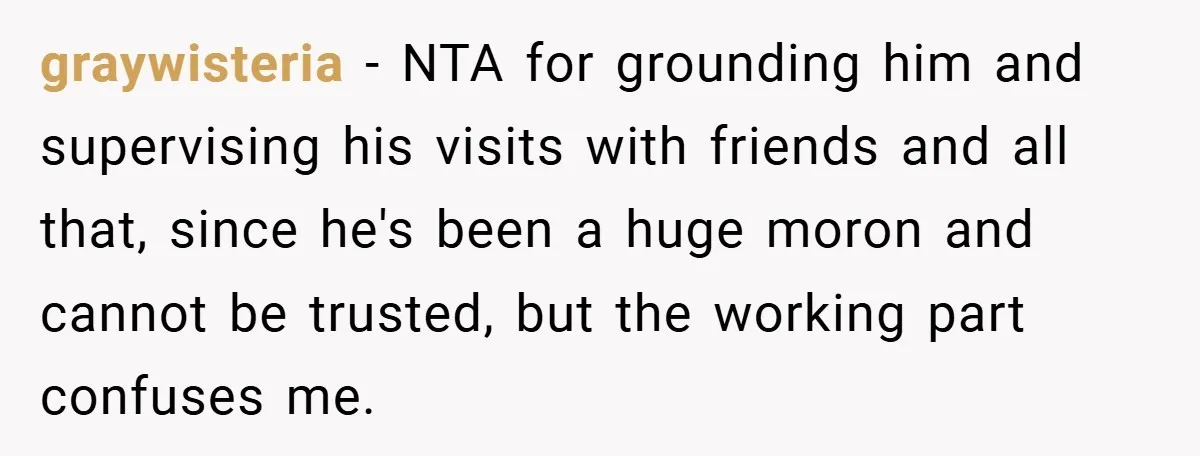 graywisteria − NTA for grounding him and supervising his visits with friends and all that, since he's been a huge moron and cannot be trusted, but the working part confuses...