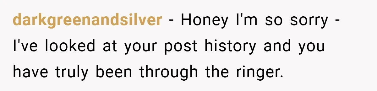 darkgreenandsilver − Honey I'm so sorry - I've looked at your post history and you have truly been through the ringer.