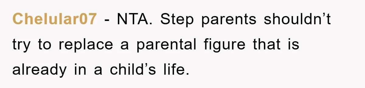 Chelular07 − NTA. Step parents shouldn’t try to replace a parental figure that is already in a child’s life.