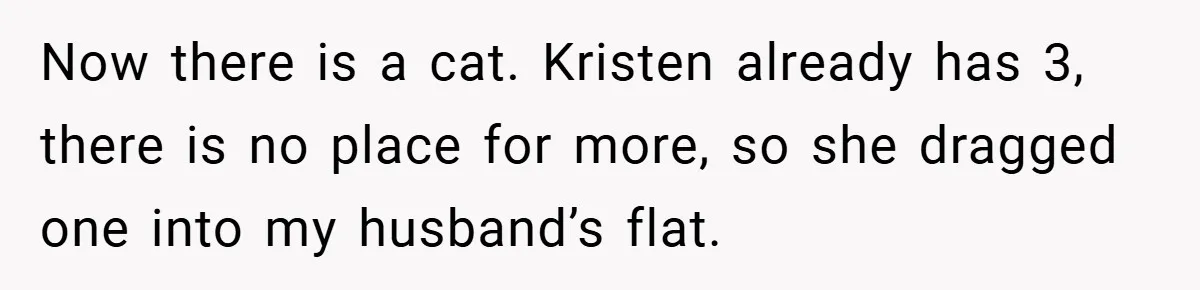 She Made Her Husband Pick Between His Daughter - Now Everyone’s Calling Her the Villain Now there is a cat. Kristen already has 3, there is no place for more, so she dragged one into my husband’s flat.