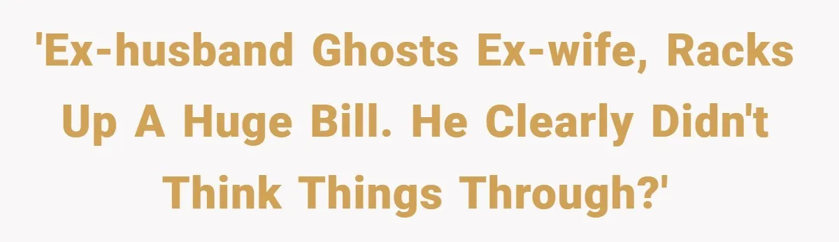'Ex-husband ghosts ex-wife, racks up a huge bill. He clearly didn't think things through?'