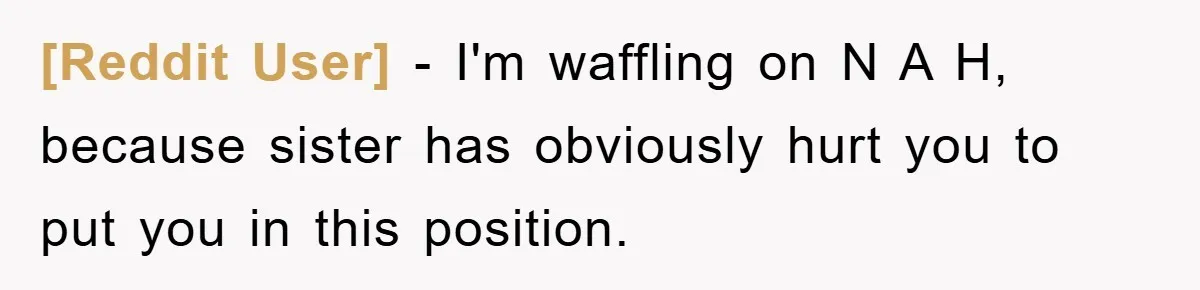 [Reddit User] − I'm waffling on N A H, because sister has obviously hurt you to put you in this position.