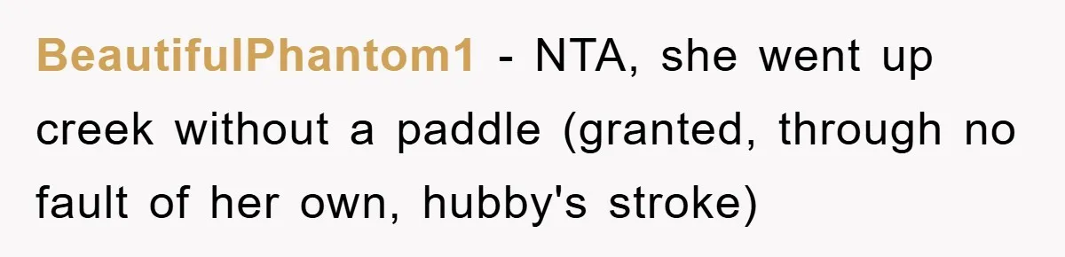 BeautifulPhantom1 − NTA, she went up creek without a paddle (granted, through no fault of her own, hubby's stroke)