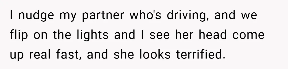 I nudge my partner who's driving, and we flip on the lights and I see her head come up real fast, and she looks terrified.