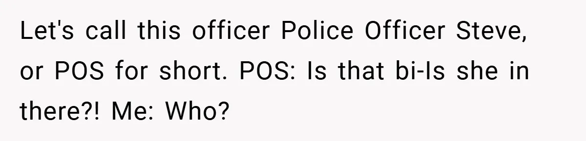 Let's call this officer Police Officer Steve, or POS for short. POS: Is that bi-Is she in there?! Me: Who?