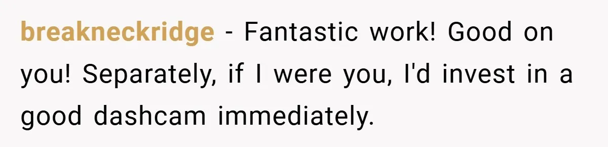 breakneckridge − Fantastic work! Good on you! Separately, if I were you, I'd invest in a good dashcam immediately.