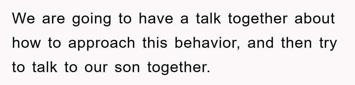 We are going to have a talk together about how to approach this behavior, and then try to talk to our son together​.