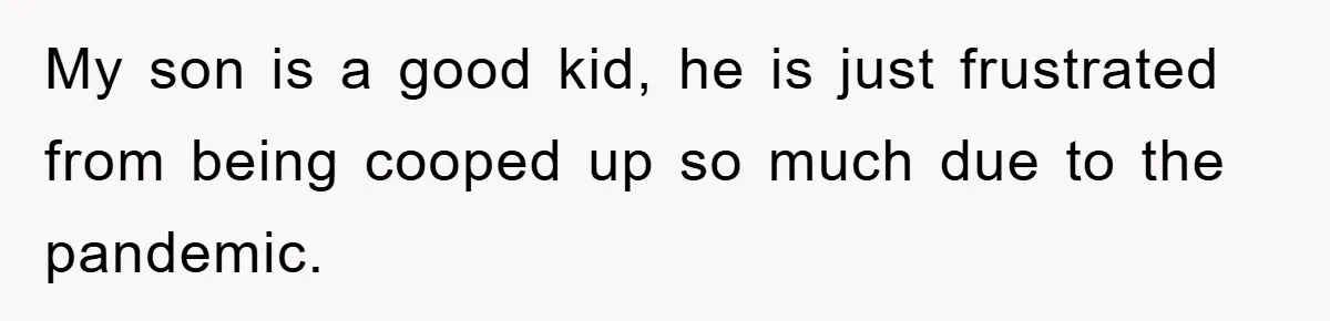 My son is a good kid, he is just frustrated from being cooped up so much due to the pandemic.
