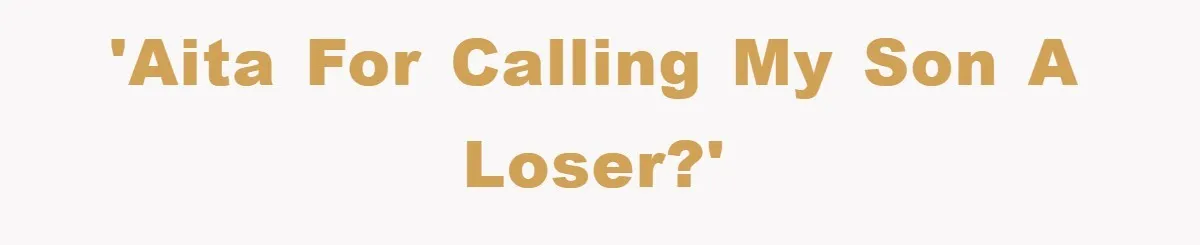 'AITA for calling my son a loser?'