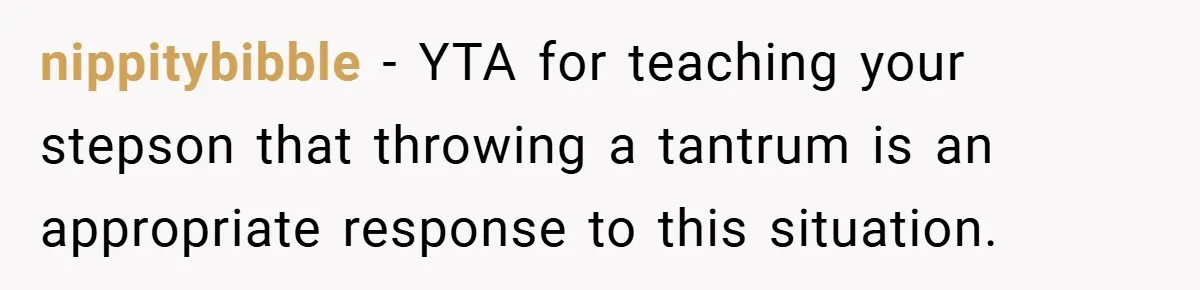 nippitybibble − YTA for teaching your stepson that throwing a tantrum is an appropriate response to this situation.