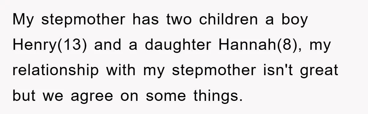 My stepmother has two children a boy Henry(13) and a daughter Hannah(8), my relationship with my stepmother isn't great but we agree on some things.