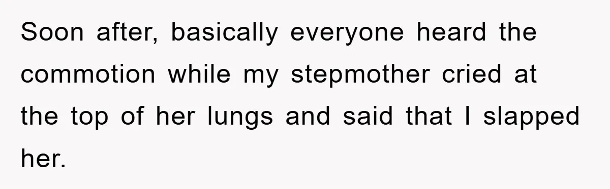 Soon after, basically everyone heard the commotion while my stepmother cried at the top of her lungs and said that I slapped her.