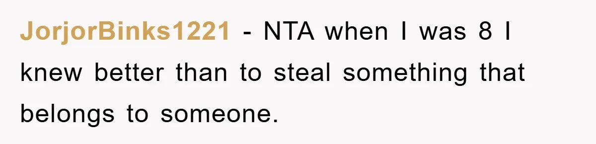 JorjorBinks1221 − NTA when I was 8 I knew better than to steal something that belongs to someone.