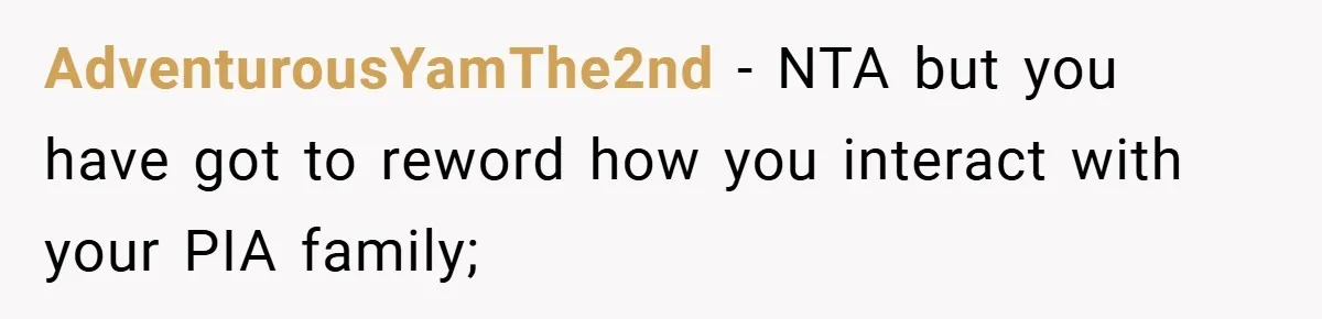 AdventurousYamThe2nd − NTA but you have got to reword how you interact with your PIA family;