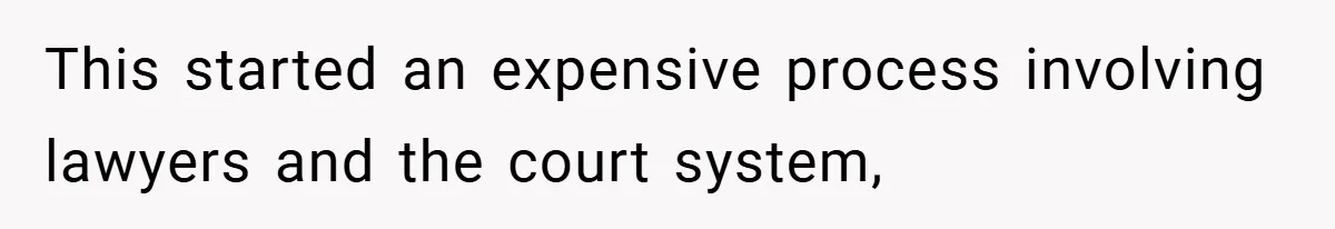 This started an expensive process involving lawyers and the court system,