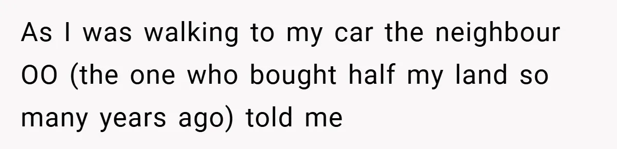 As I was walking to my car the neighbour OO (the one who bought half my land so many years ago) told me