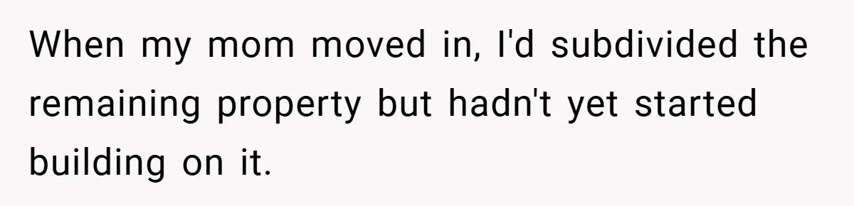 When my mom moved in, I'd subdivided the remaining property but hadn't yet started building on it.