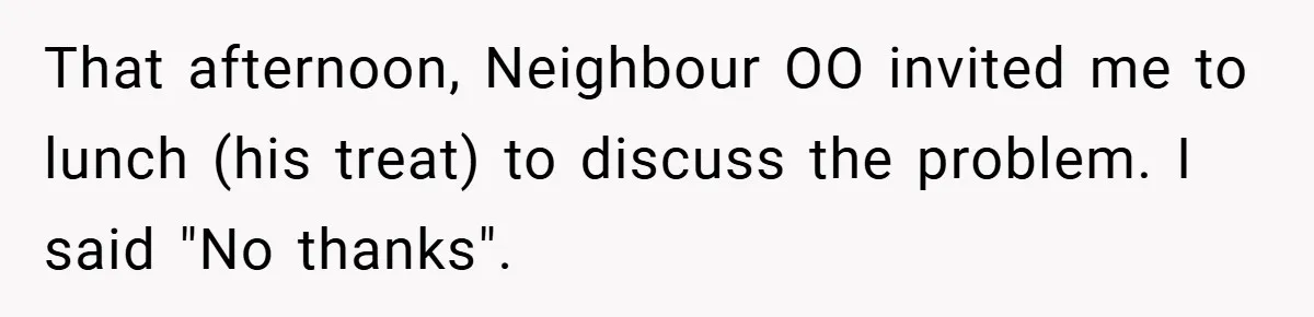 That afternoon, Neighbour OO invited me to lunch (his treat) to discuss the problem. I said "No thanks".