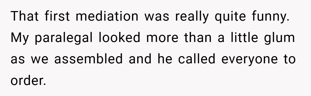 That first mediation was really quite funny. My paralegal looked more than a little glum as we assembled and he called everyone to order.
