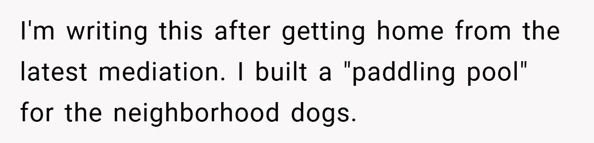 I'm writing this after getting home from the latest mediation. I built a "paddling pool" for the neighborhood dogs.