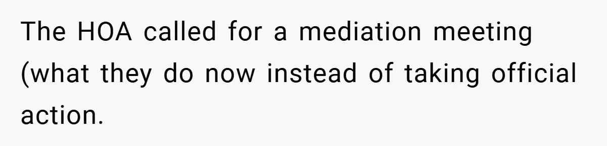The HOA called for a mediation meeting (what they do now instead of taking official action.