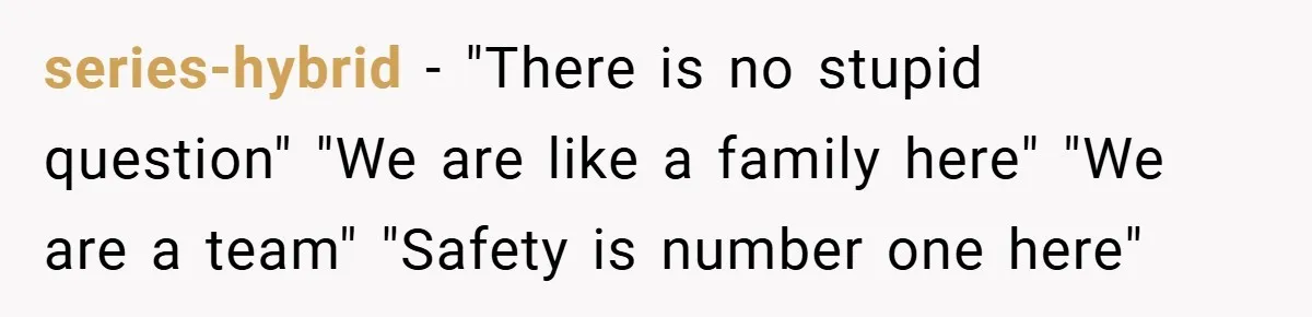 series-hybrid − "There is no stupid question" "We are like a family here" "We are a team" "Safety is number one here"