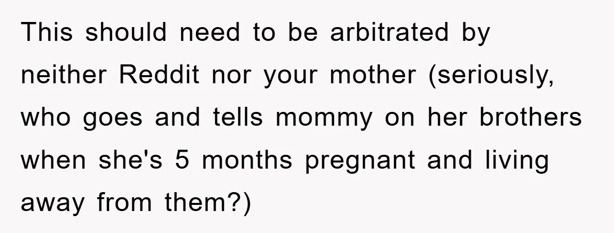 This should need to be arbitrated by neither Reddit nor your mother (seriously, who goes and tells mommy on her brothers when she's 5 months pregnant and living away from...