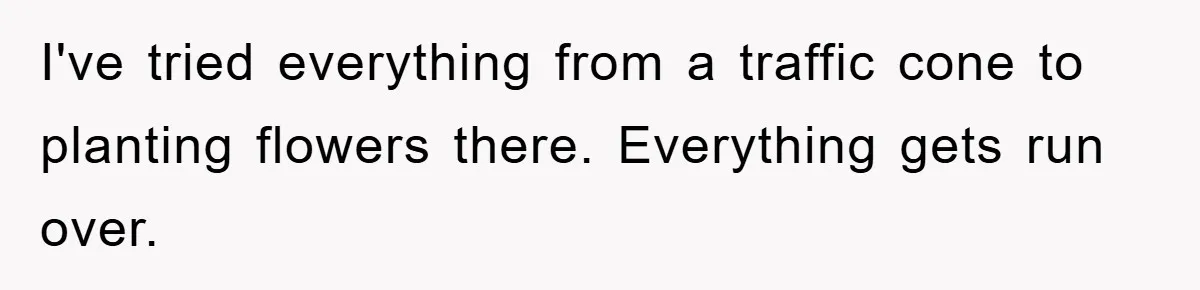 I've tried everything from a traffic cone to planting flowers there. Everything gets run over.