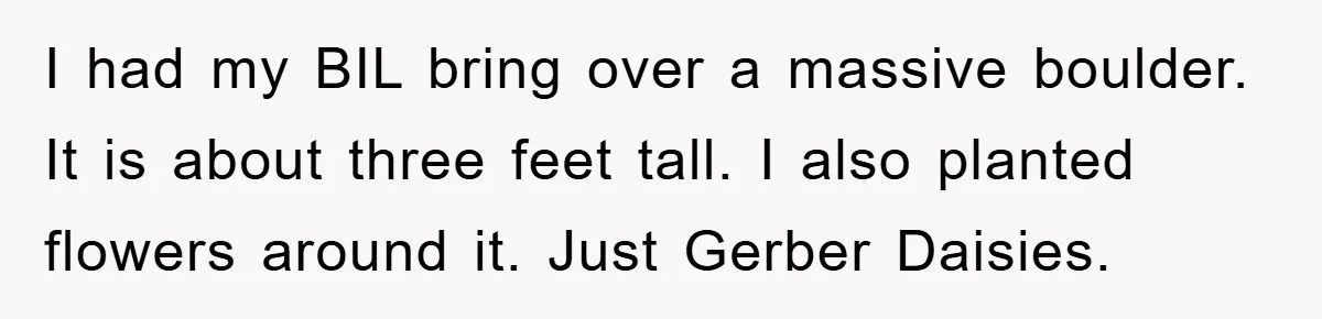I had my BIL bring over a massive boulder. It is about three feet tall. I also planted flowers around it. Just Gerber Daisies.