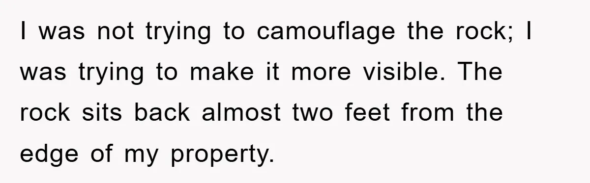 I was not trying to camouflage the rock; I was trying to make it more visible. The rock sits back almost two feet from the edge of my property.