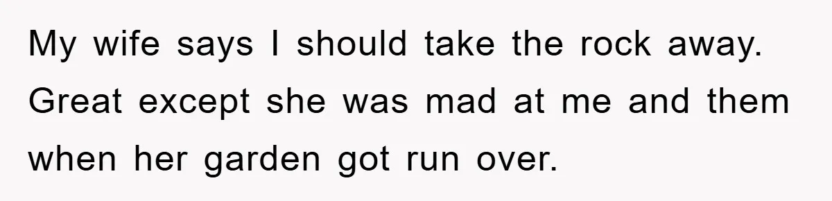 My wife says I should take the rock away. Great except she was mad at me and them when her garden got run over.