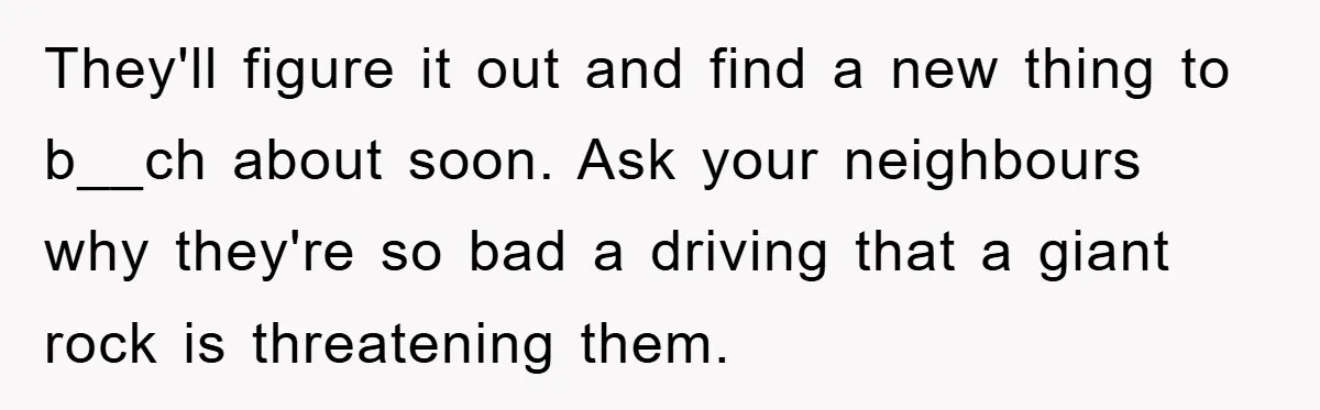 They'll figure it out and find a new thing to b__ch about soon. Ask your neighbours why they're so bad a driving that a giant rock is threatening them.
