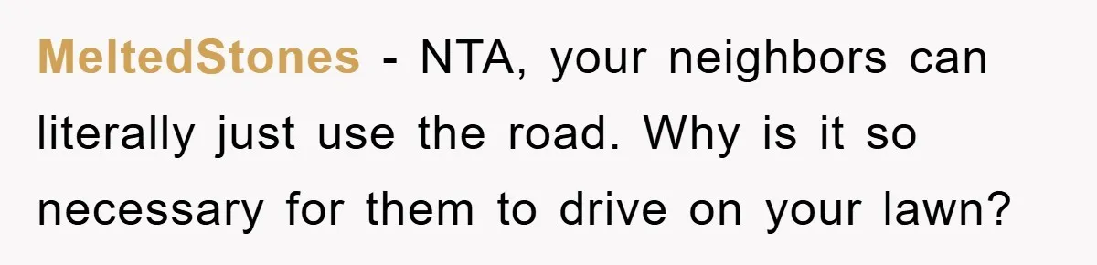 MeltedStones − NTA, your neighbors can literally just use the road. Why is it so necessary for them to drive on your lawn?