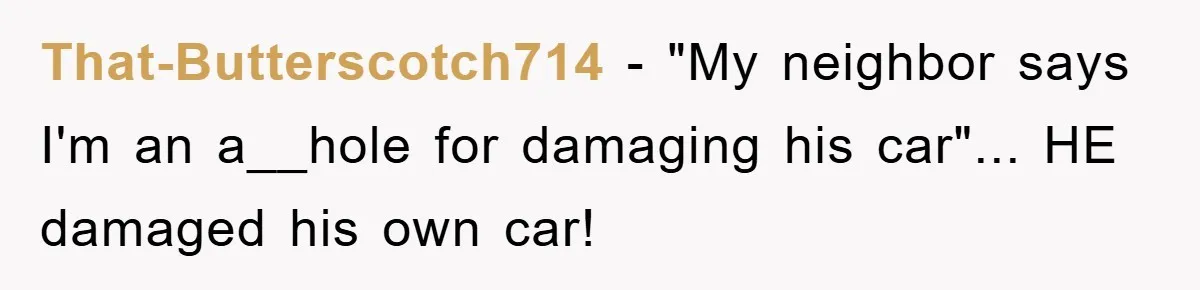 That-Butterscotch714 − "My neighbor says I'm an a__hole for damaging his car"... HE damaged his own car!