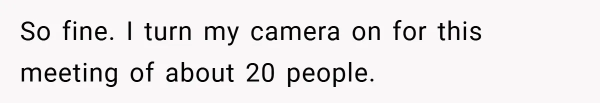 Boss Insists Everyone’s Camera Must Stay On, So This Mom Turns Hers On While Pumping So fine. I turn my camera on for this meeting of about 20 people.