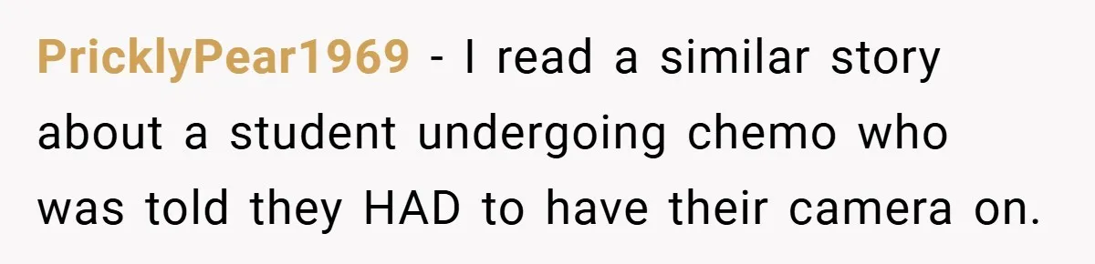 Boss Insists Everyone’s Camera Must Stay On, So This Mom Turns Hers On While Pumping PricklyPear1969 − I read a similar story about a student undergoing chemo who was told they HAD to have their camera on.
