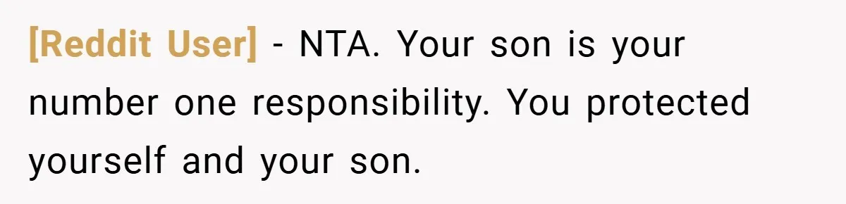 [Reddit User] − NTA. Your son is your number one responsibility. You protected yourself and your son.