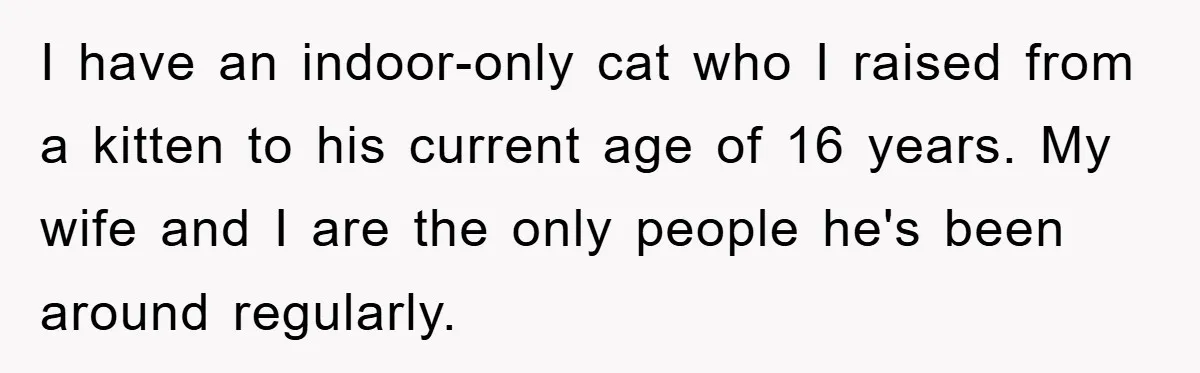 Man Refuses To Rehome His Cat, Allergic Pregnant Wife Contributes To The Pet's Death, Causing Grief I have an indoor-only cat who I raised from a kitten to his current age of 16 years. My wife and I are the only people he's been around regularly.