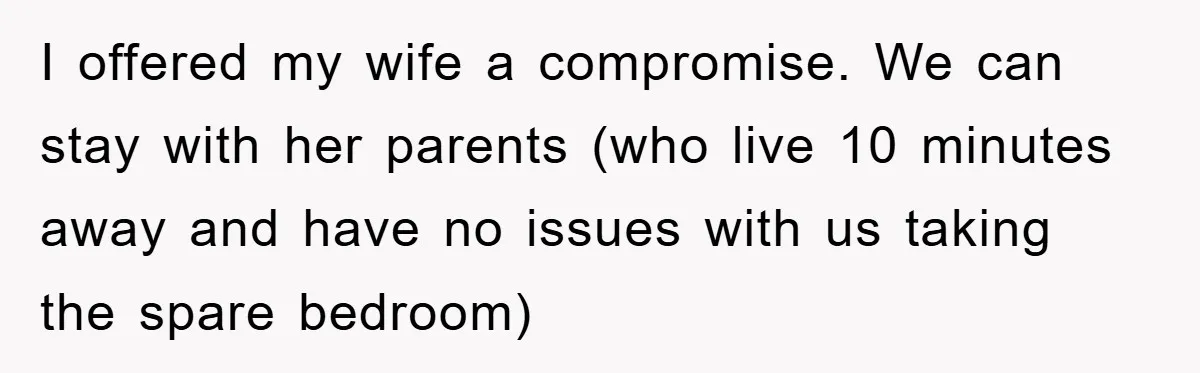 Man Refuses To Rehome His Cat, Allergic Pregnant Wife Contributes To The Pet's Death, Causing Grief I offered my wife a compromise. We can stay with her parents (who live 10 minutes away and have no issues with us taking the spare bedroom)
