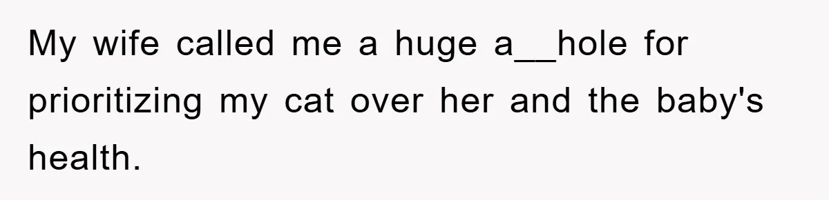 Man Refuses To Rehome His Cat, Allergic Pregnant Wife Contributes To The Pet's Death, Causing Grief My wife called me a huge a__hole for prioritizing my cat over her and the baby's health.