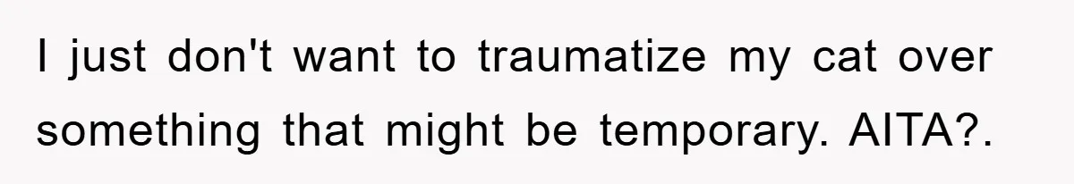 Man Refuses To Rehome His Cat, Allergic Pregnant Wife Contributes To The Pet's Death, Causing Grief I just don't want to traumatize my cat over something that might be temporary. AITA?.