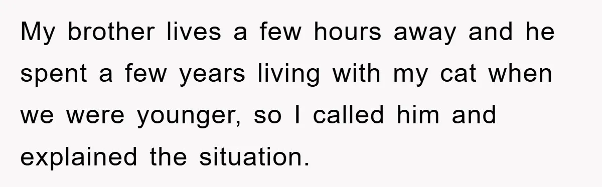 Man Refuses To Rehome His Cat, Allergic Pregnant Wife Contributes To The Pet's Death, Causing Grief My brother lives a few hours away and he spent a few years living with my cat when we were younger, so I called him and explained the situation.