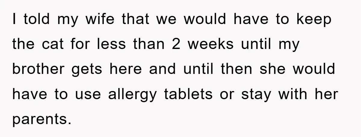 Man Refuses To Rehome His Cat, Allergic Pregnant Wife Contributes To The Pet's Death, Causing Grief I told my wife that we would have to keep the cat for less than 2 weeks until my brother gets here and until then she would have to use...