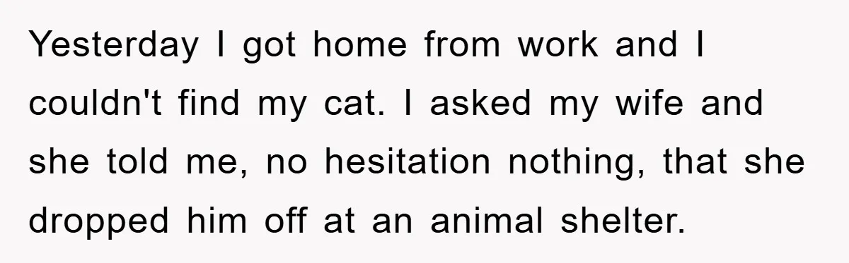 Man Refuses To Rehome His Cat, Allergic Pregnant Wife Contributes To The Pet's Death, Causing Grief Yesterday I got home from work and I couldn't find my cat. I asked my wife and she told me, no hesitation nothing, that she dropped him off at an...