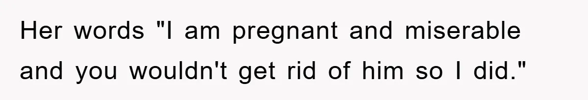 Man Refuses To Rehome His Cat, Allergic Pregnant Wife Contributes To The Pet's Death, Causing Grief Her words "I am pregnant and miserable and you wouldn't get rid of him so I did."