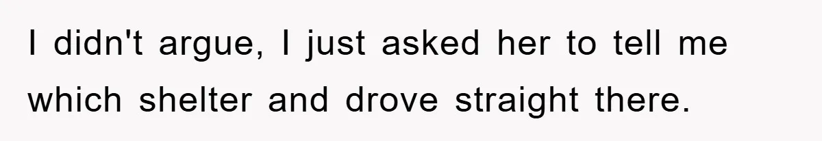 Man Refuses To Rehome His Cat, Allergic Pregnant Wife Contributes To The Pet's Death, Causing Grief I didn't argue, I just asked her to tell me which shelter and drove straight there.