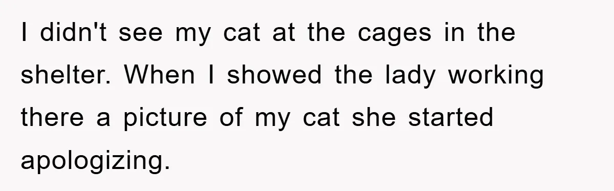 Man Refuses To Rehome His Cat, Allergic Pregnant Wife Contributes To The Pet's Death, Causing Grief I didn't see my cat at the cages in the shelter. When I showed the lady working there a picture of my cat she started apologizing.